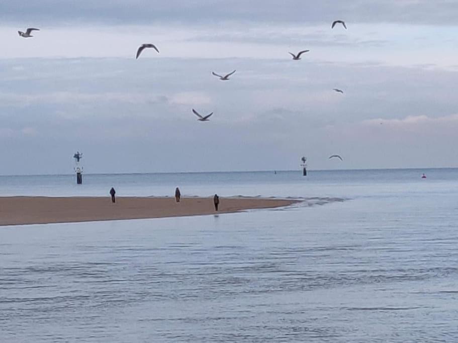 La Baleine - Hyper Centre, Charme Et Calme A Deux Pas De La Mer Cabourg Eksteriør bilde